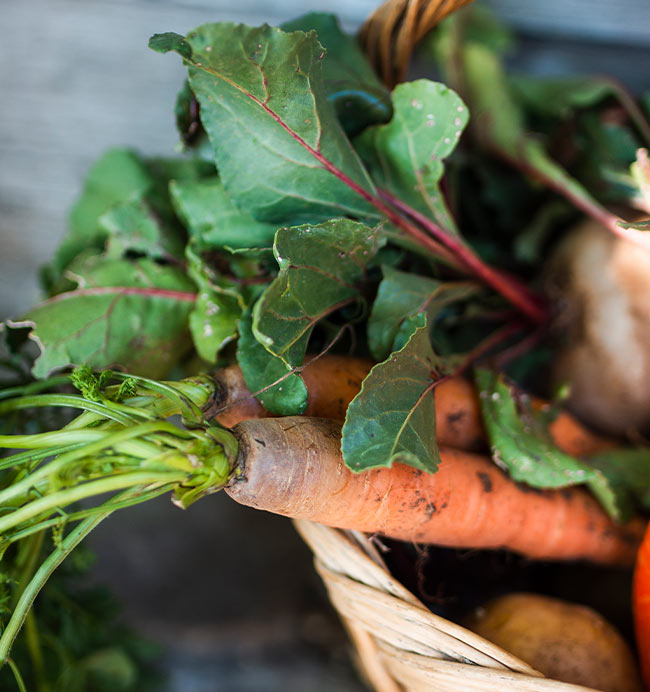 Panier de légumes | Rebelle et Rustique